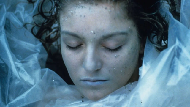 2509_TwinPeaksSerie_11