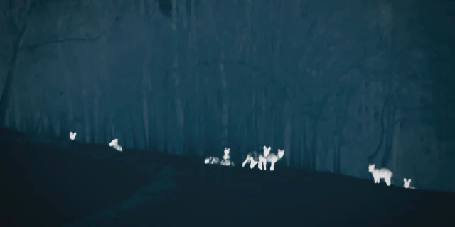 2510_LupiNostri_07