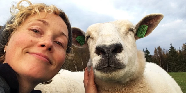 2511_Woolly_02
