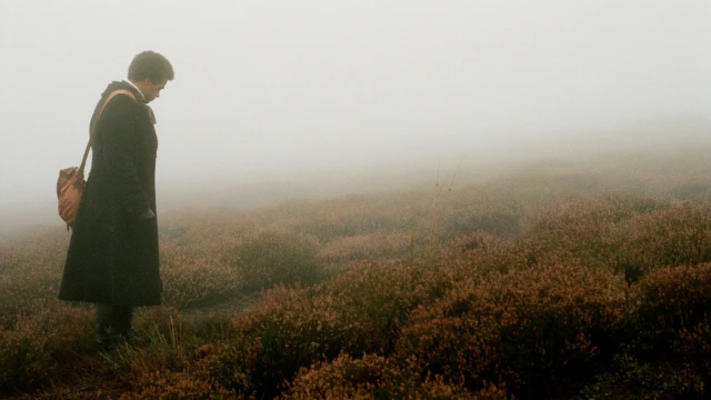 2511_WutheringHeights_03