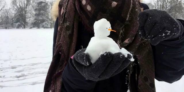 2512_AnnaCaiat_TinaFriebel_Snownion