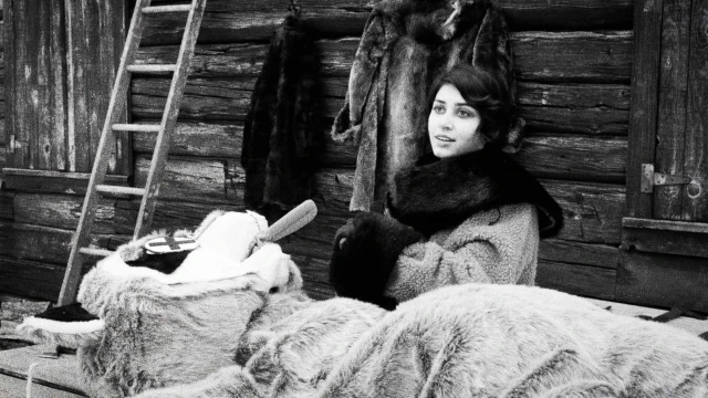 2512_HundredsOfBeavers_07