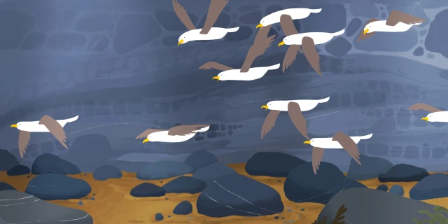 2512_MaryAnningFossilienjägerin_02