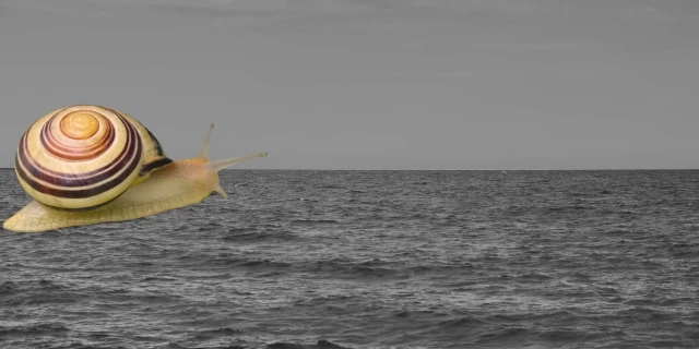 2601_HoldOnToTheWater_01