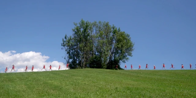 2601_LeichtfüssigeZiegen_01