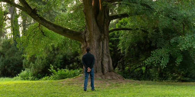 2601_SilentFriend_07