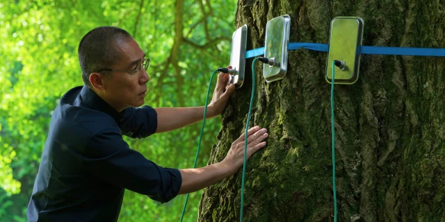 2601_SilentFriend_01