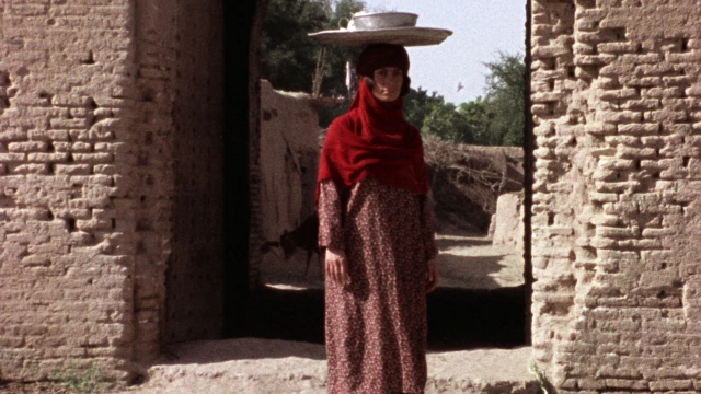 2601_TheSealedSoil_01