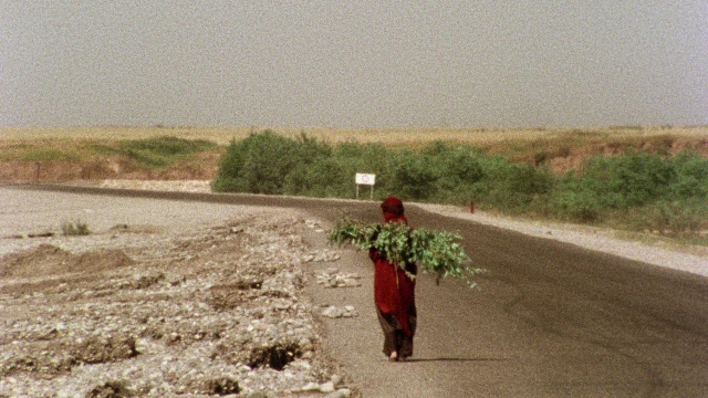 2601_TheSealedSoil_05