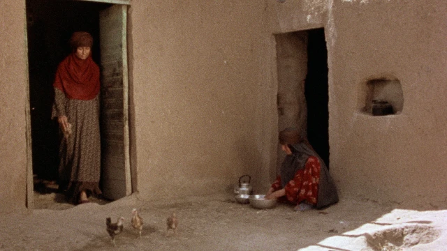 2601_TheSealedSoil_03