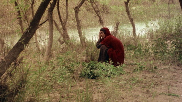 2601_TheSealedSoil_02