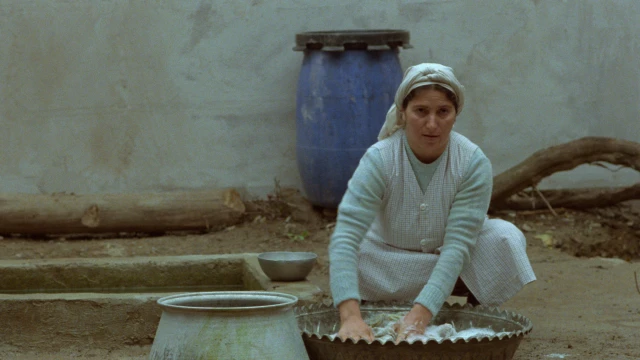 2601_WhereIsMyFriendsHouse_06