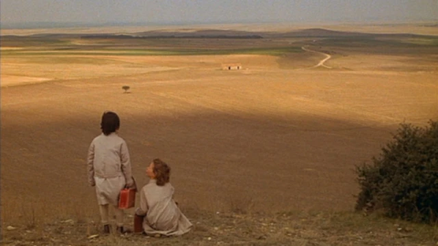 2602_ElEspirituDeLaColmena_06