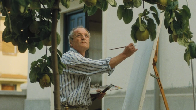 2602_ElSolDelMembrillo_01