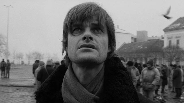 2602_WerkmeisterHarmoniak_03