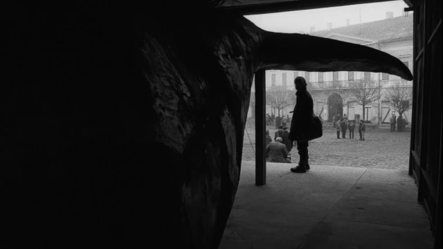 2602_WerkmeisterHarmoniak_05