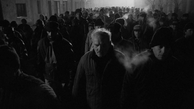 2602_WerkmeisterHarmoniak_04