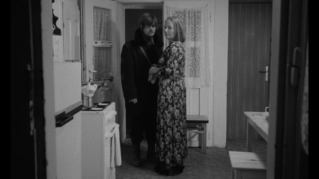 2602_WerkmeisterHarmoniak_10