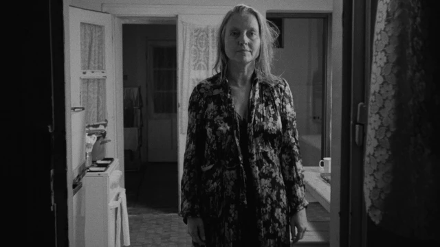 2602_WerkmeisterHarmoniak_09