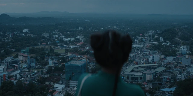 2603_ElephantsSquirrels_08