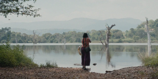 2603_ElephantsSquirrels_04