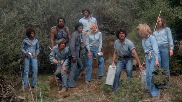 2604_TerminalIsland_02