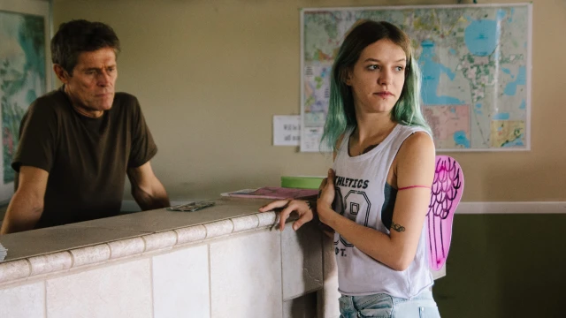 2605_FloridaProject_04