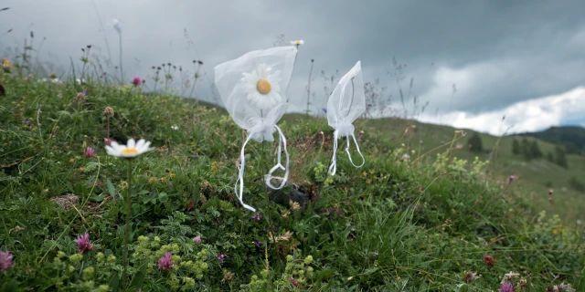 2605_UnterPflanzen_01