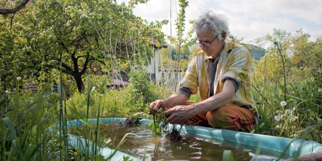 2605_UnterPflanzen_06