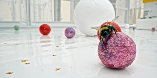 2605_UnterPflanzen_03