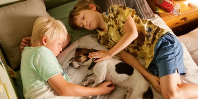 2606_RicoOskarUndDasHerzgebreche_04