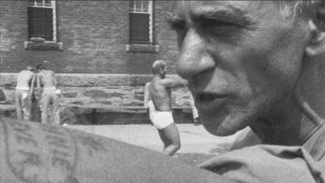 2606_TiticutFollies_03