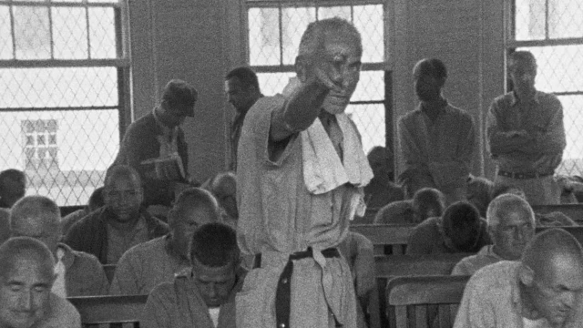 2606_TiticutFollies_02