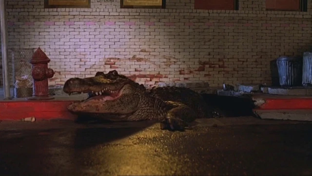 2703_Alligator_02