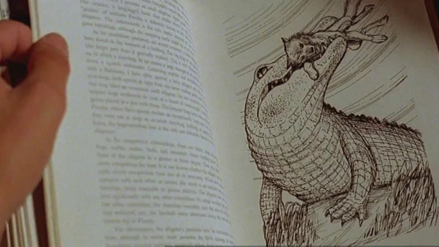 2703_Alligator_04