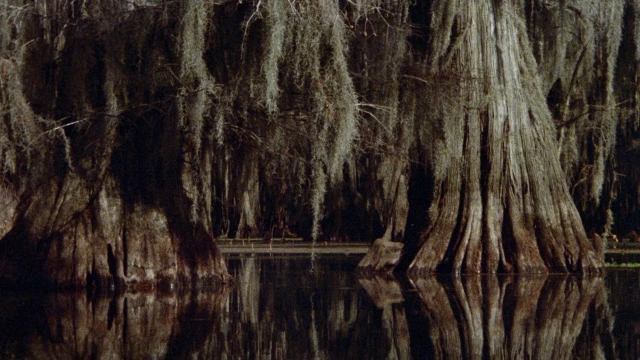 2709_SouthernComfort_03